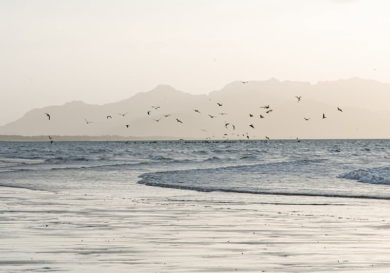 Nomada Republic Hotel Punta Chame