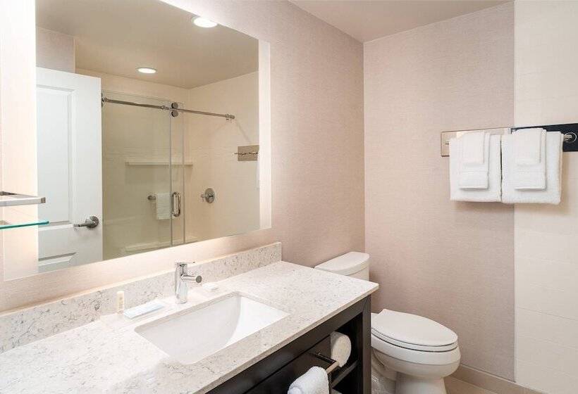 هتل Residence Inn By Marriott Grand Rapids Downtown