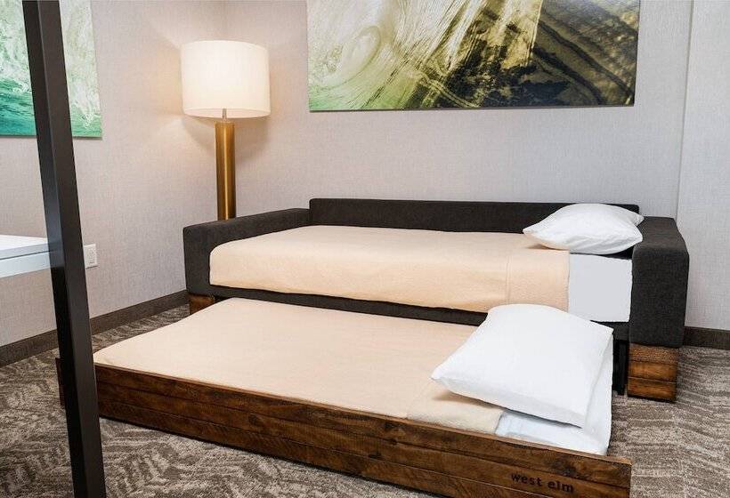 فندق Springhill Suites By Marriott Irvine Lake Forest