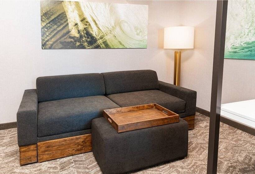 فندق Springhill Suites By Marriott Irvine Lake Forest