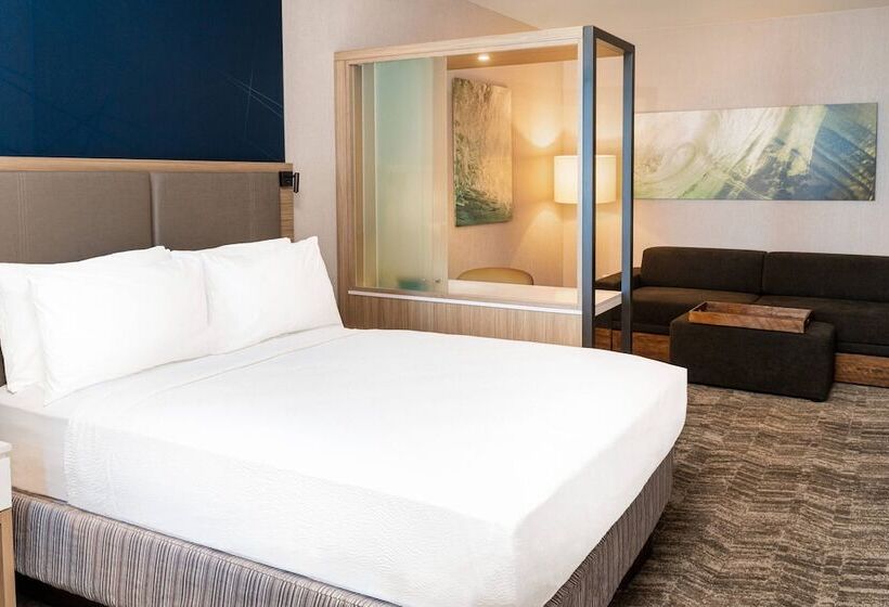 فندق Springhill Suites By Marriott Irvine Lake Forest