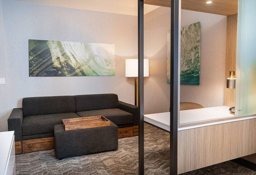 فندق Springhill Suites By Marriott Irvine Lake Forest