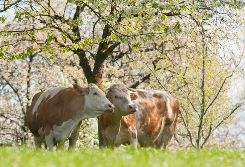 ホテル Wachingerhof