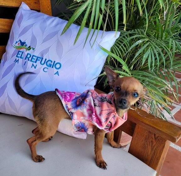 ペンション El Refugio Minca