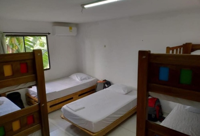 Пансион Hostal Baruch