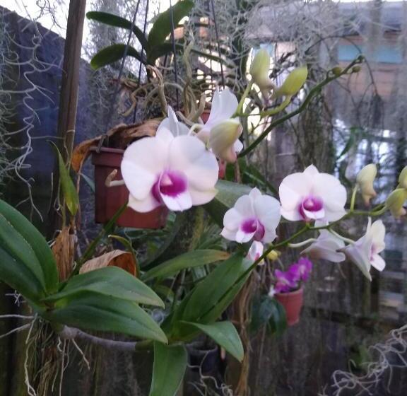 بنسيون Pousada São Miguel Filosofal