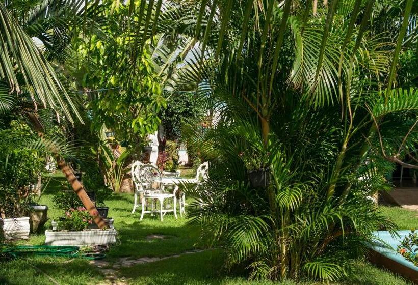 بنسيون Pousada São Miguel Filosofal