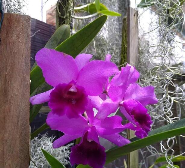 بنسيون Pousada São Miguel Filosofal