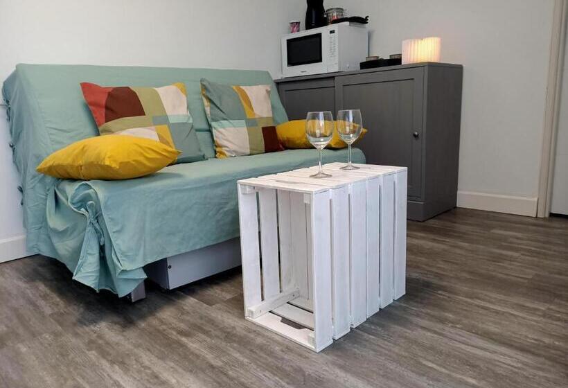 פנסיון Studio De Jardin Le Temps D Une Pause Jusqu à 4 Personnes En Face Du Beaujolais   Climatisation Et B