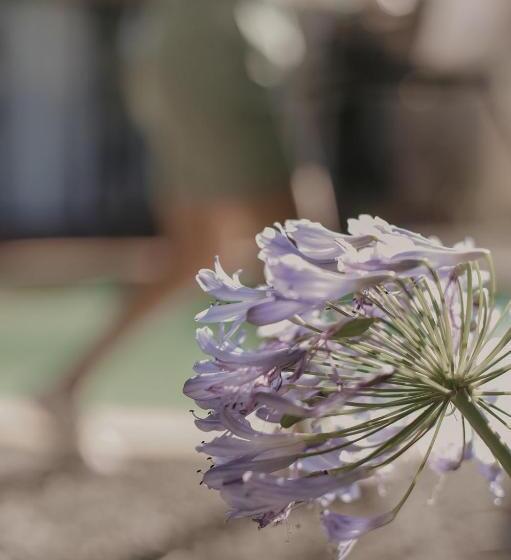 بنسيون Villa Rose Guesthouse & Venue