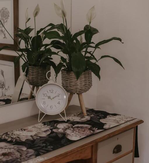 بنسيون Villa Rose Guesthouse & Venue