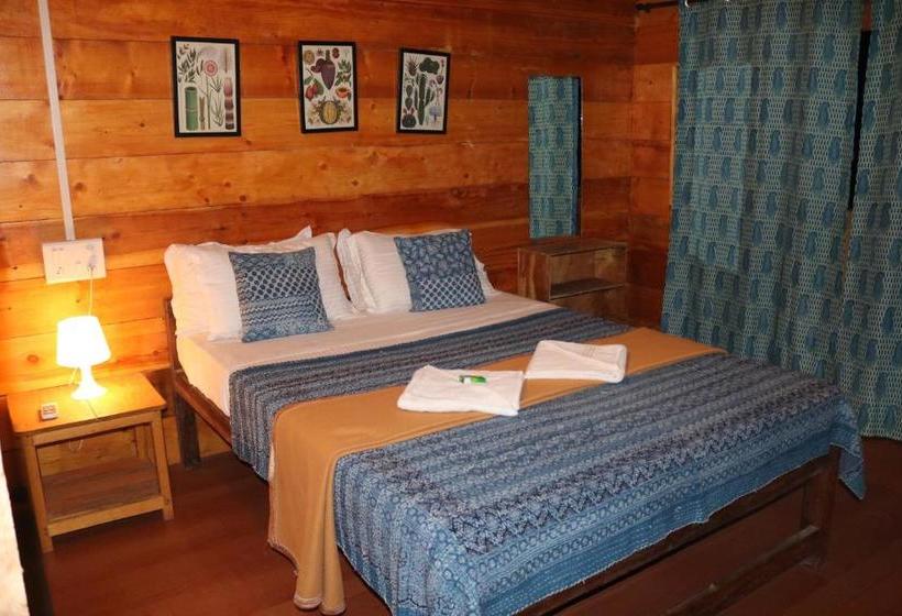 منتجع Cilantro Agonda