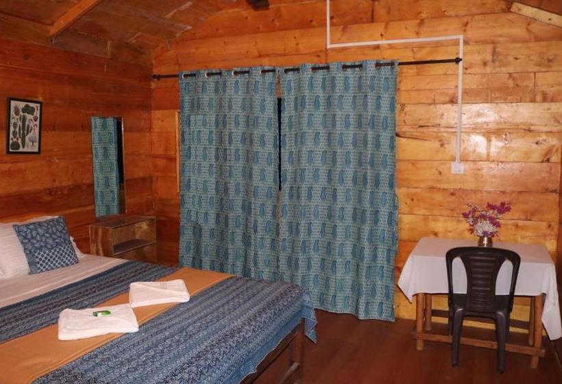 منتجع Cilantro Agonda