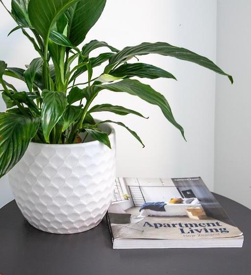 Sojourn Apartment Hotel   Riddiford