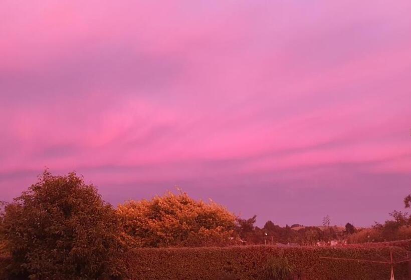 Century House B & B Flatlette