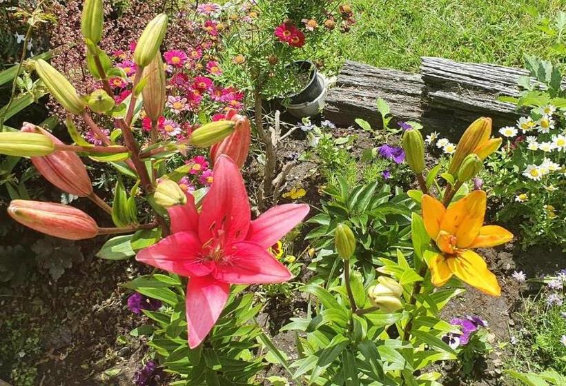 Century House B & B Flatlette