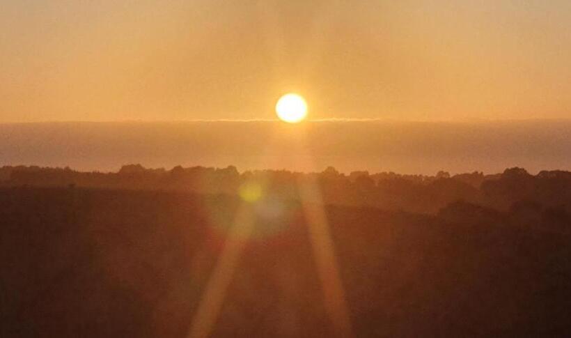 Century House B & B Flatlette