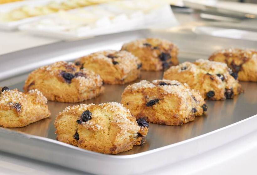 Ac Hotel By Marriott Fort Lauderdale Beach