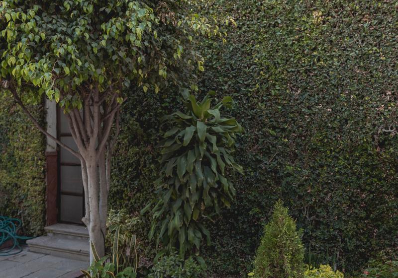 Casa Eva Hotel Boutique & Spa