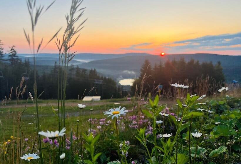 فندق Corduroy Inn And Lodge, Trademark Collection By Wyndham