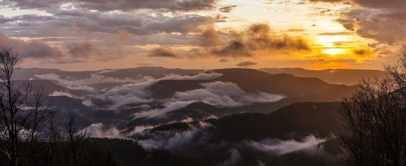 فندق Corduroy Inn And Lodge, Trademark Collection By Wyndham