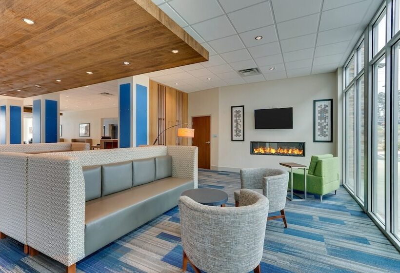 فندق Holiday Inn Express & Suites   Dawsonville, An Ihg