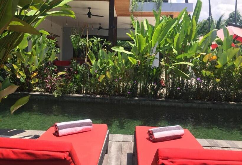 בית מלון כפרי Le Chien Rouge