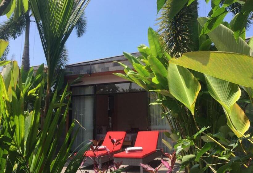 בית מלון כפרי Le Chien Rouge