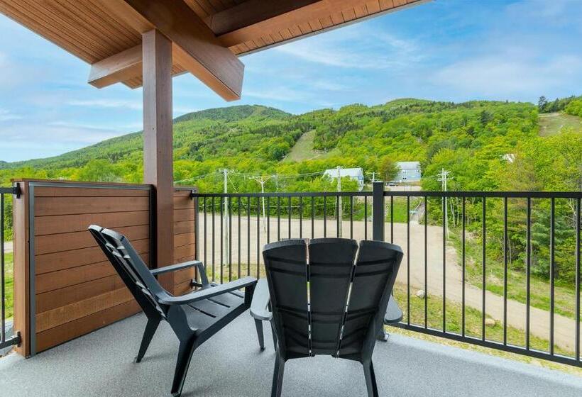 Отель Les Appartements Du Massif De Charlevoix