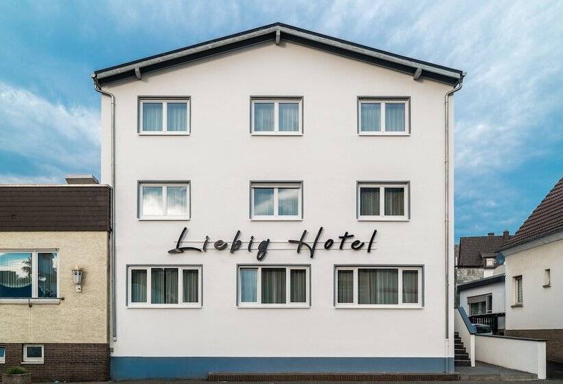 Отель Liebig