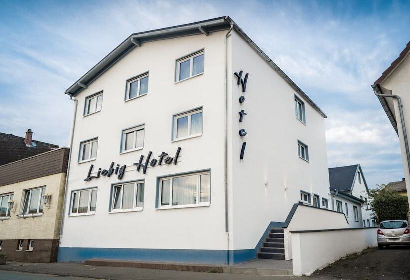 Отель Liebig