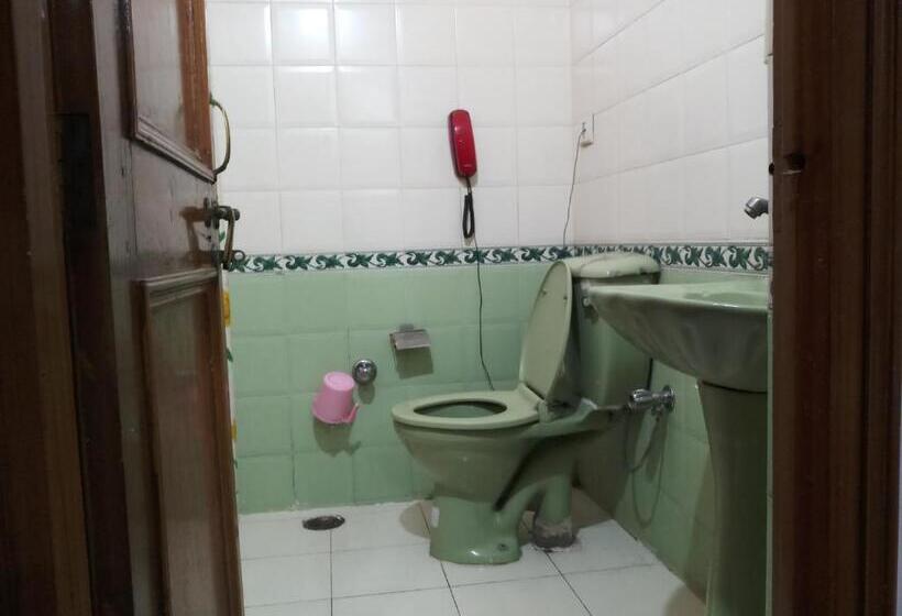 Отель Mrignayani