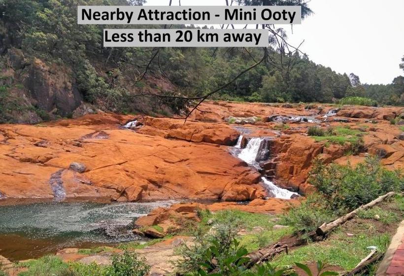 Hotel Flagship 75922  Star Light