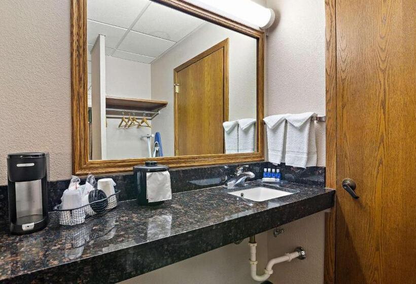 Отель Rodeway Inn