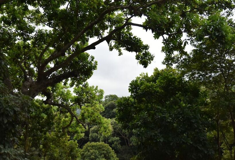 Пансион Eco Hostal Kuima