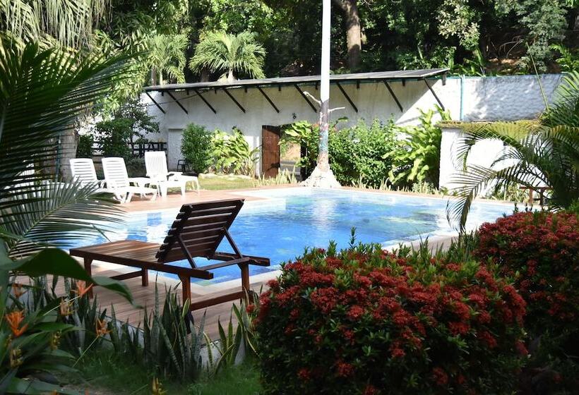 Пансион Eco Hostal Kuima