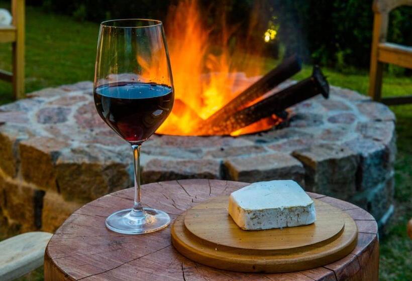 펜션 Pousada Das Lavandas