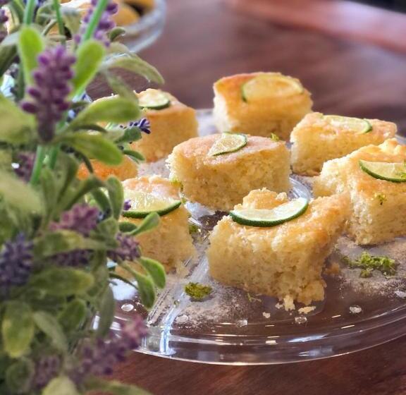 펜션 Pousada Das Lavandas