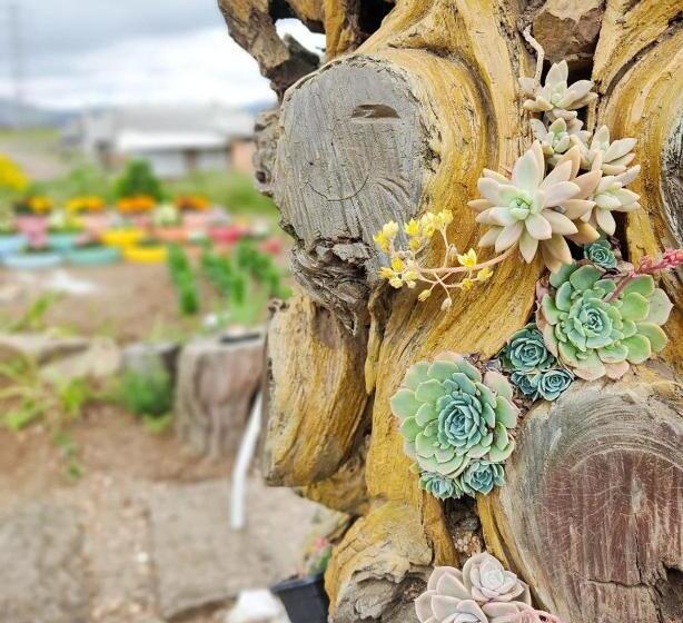 بنسيون Pousada Rota Da Kombi