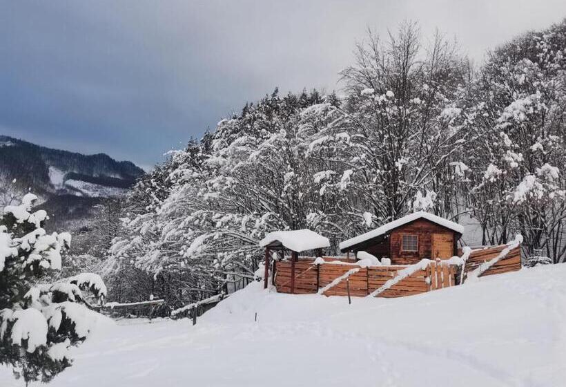 Pensiunea Izvorul Bucuriei