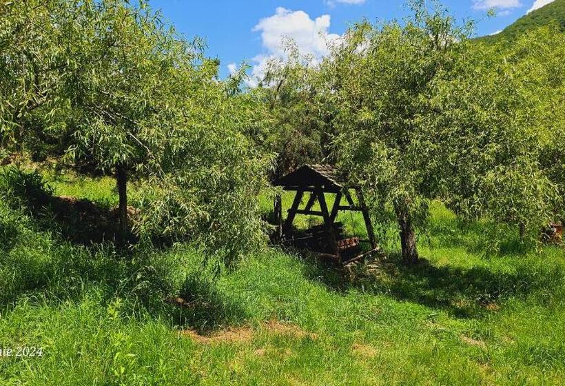 Pensiunea Izvorul Bucuriei