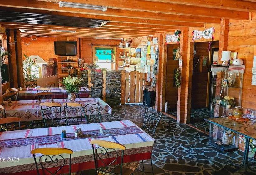 Pensiunea Izvorul Bucuriei