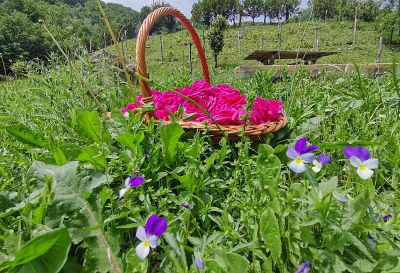 Pensiunea Izvorul Bucuriei