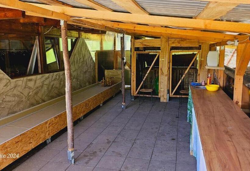 Pensiunea Izvorul Bucuriei