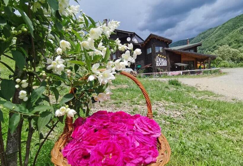 Pensiunea Izvorul Bucuriei