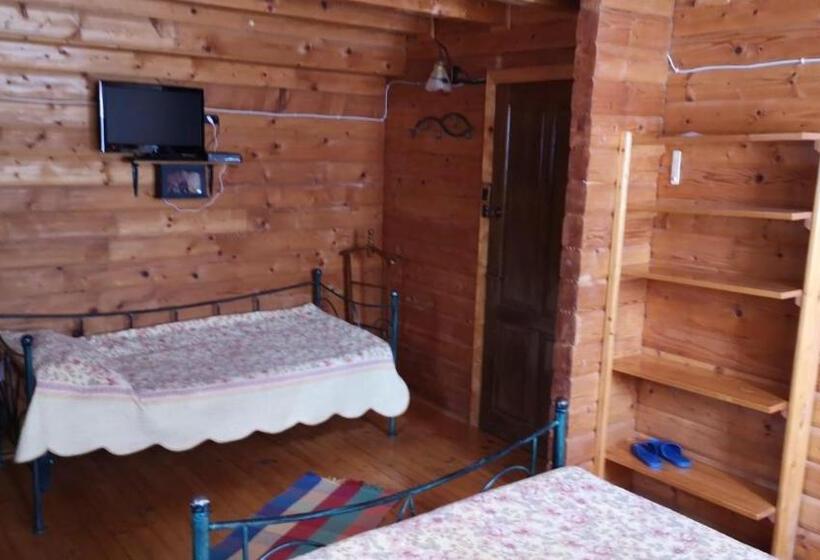 Pensiunea Izvorul Bucuriei