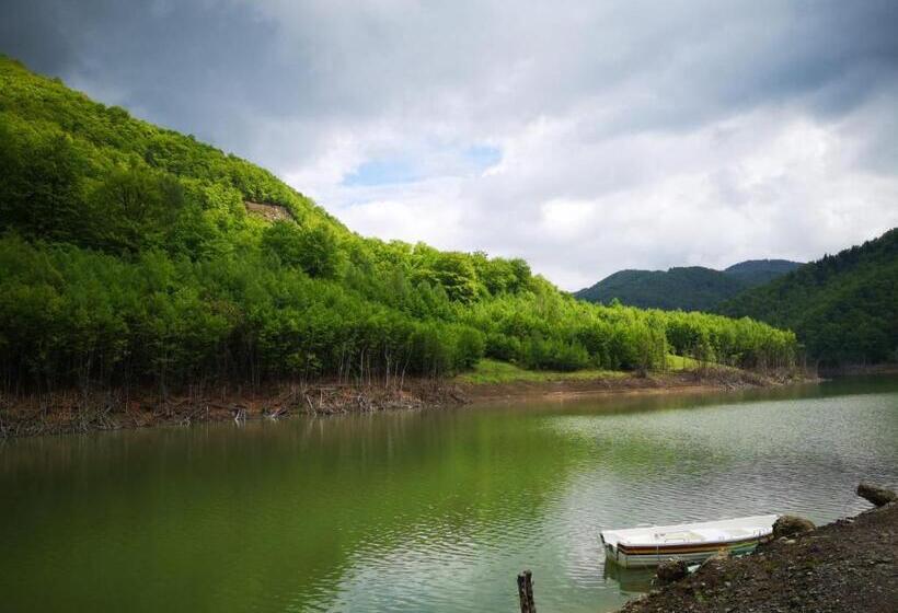 Pensiunea Izvorul Bucuriei