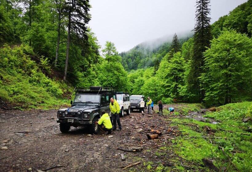 Pensiunea Izvorul Bucuriei