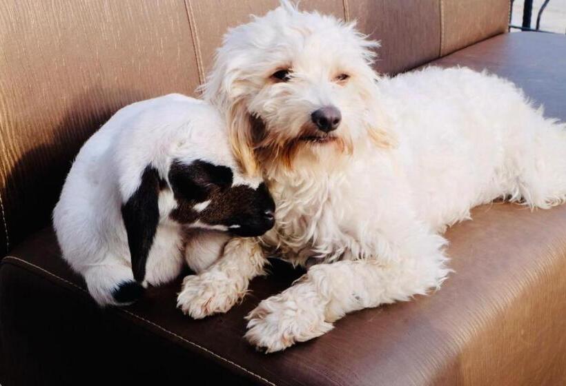 Курорт Celebi Garden Hotel Cittaslow Retreat