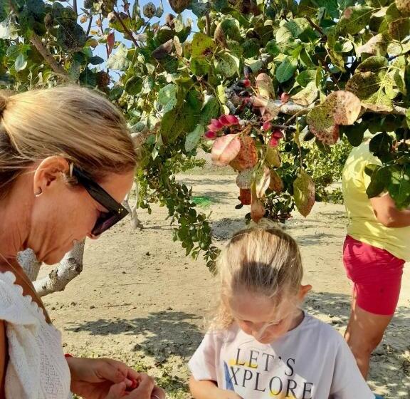 Курорт Celebi Garden Hotel Cittaslow Retreat